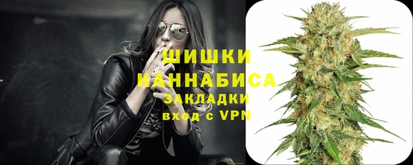 индика Медвежьегорск