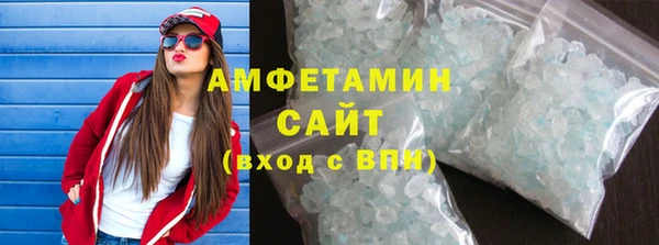 индика Медвежьегорск
