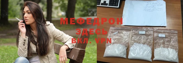 индика Медвежьегорск