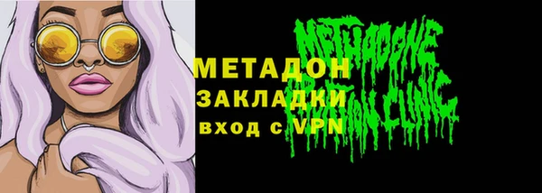 индика Медвежьегорск