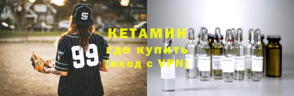 индика Медвежьегорск