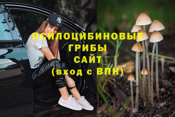 индика Медвежьегорск