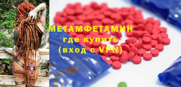 индика Медвежьегорск