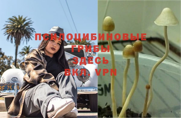 трава Мегион