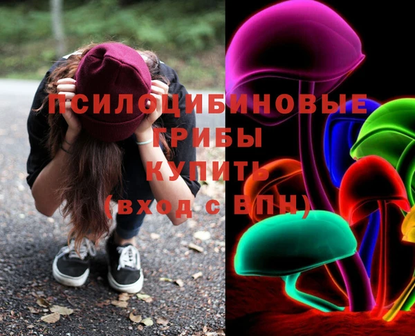 соль ск Михайловск