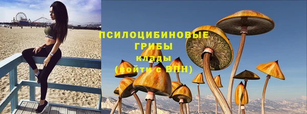 трава Мегион
