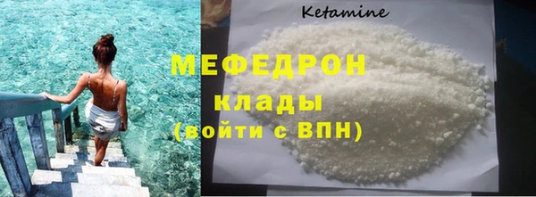 индика Медвежьегорск