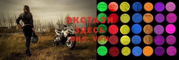 индика Медвежьегорск