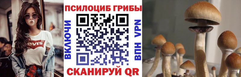 Псилоцибиновые грибы мухоморы  блэк спрут маркетплейс  Новая Ляля 