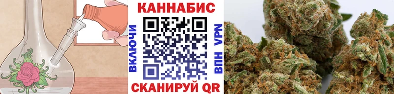 сколько стоит  Новая Ляля  Каннабис семена 
